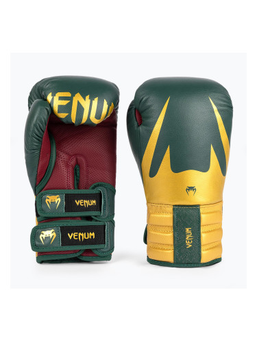 Боксови ръкавици Venum Reverso green/gold