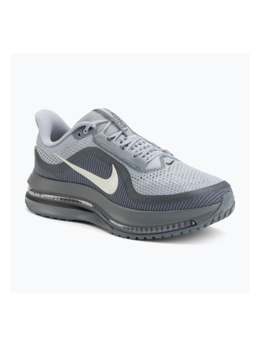 Мъжки обувки за бягане Nike Pegasus Premium wolf grey/cool grey/anthracite/sail