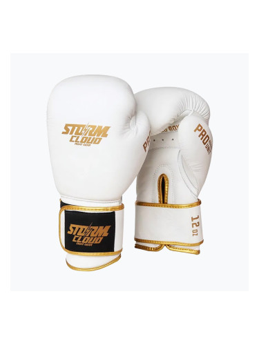 Боксови ръкавици StormCloud Boxing Pro white/gold