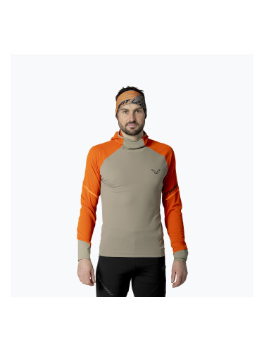 Мъжки суитшърт за бягане DYNAFIT Alpine Hooded alabama/5490