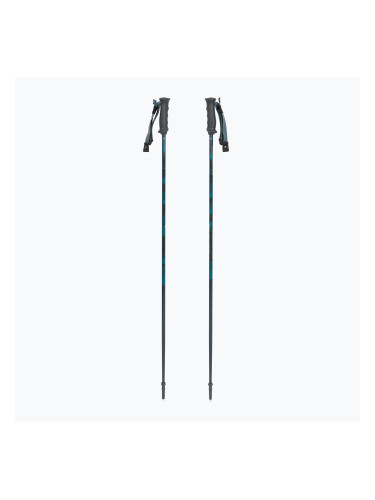 Скиорски щеки Fischer RC4 Noize grey/blue