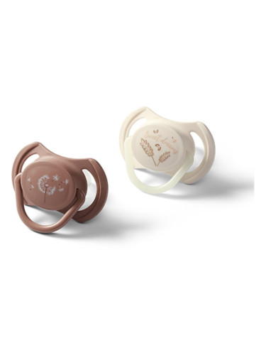 BabyOno Take Care Symmetrical Silicone Soothers биберон Day & Night 18m+ 2 бр.