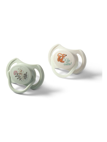 BabyOno Take Care Symmetrical Silicone Soothers биберон Day & Night 6-18m+ 2 бр.