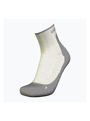 Дамски чорапи за трекинг Icebreaker Merino Hike+ Light Mini ecru hthr/alloy