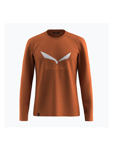 Мъжка блуза с дълъг ръкав Salewa Solidlogo Dry bombay brown