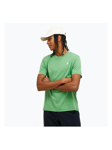 Мъжка тениска Explore Graphic peppermint на Peak Performance