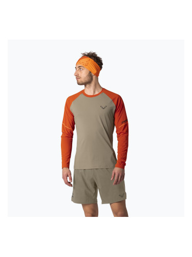 Мъжка блуза с дълъг ръкав за бягане DYNAFIT Alpine Pro alabama/5490i