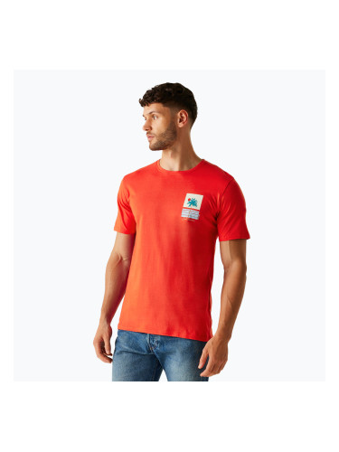 Мъжка тениска Regatta ClineIX маково червена, готина за лятото