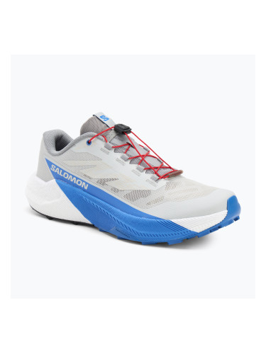 Мъжки обувки за бягане Salomon Pulsar lunar rock/white/french blue