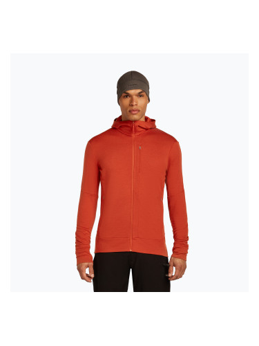 Мъжки суитшърт Icebreaker Merino 260 Quantum IV Zip Hoodie agate