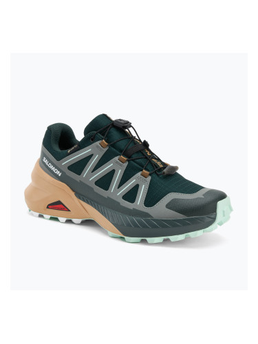 Дамски обувки за бягане Salomon Speedcross Peak GTX scarab/soft clay/bay