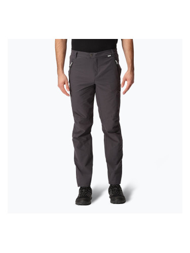 Мъжки панталони за трекинг REGATTA Highton seal grey