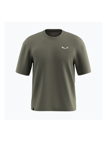 Мъжка тениска Salewa Eagle Glacier loose faded green