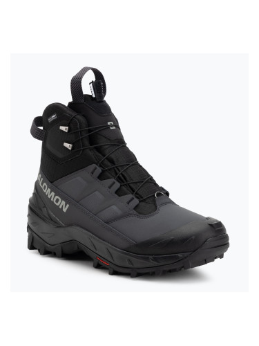Мъжки обувки за трекинг Salomon Crosstrak Powder WP asphalt/black/sharkskin