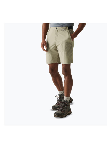 Мъжки шорти за трекинг REGATTA Leesville III golden sand