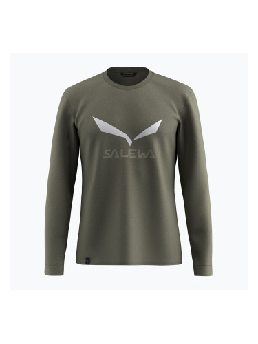 Мъжка блуза с дълъг ръкав Salewa Solidlogo Dry faded green