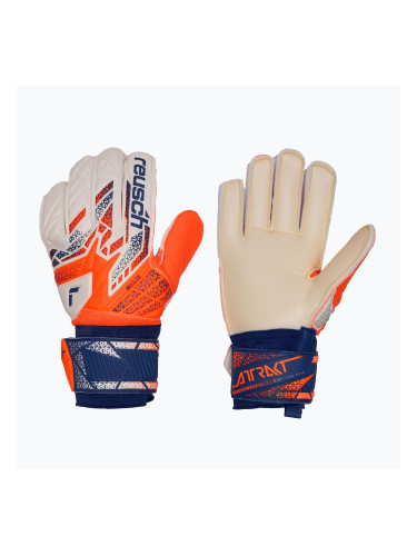 Вратарски ръкавици Reusch Attrakt Solid shocking orange/energyze blue