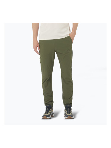 Мъжки панталони за трекинг Salomon Wayfarer Ease grape leaf