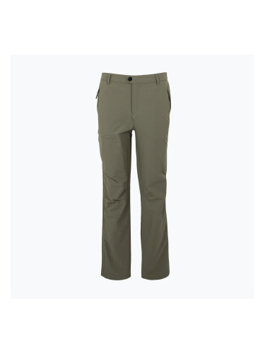 Мъжки панталони за трекинг REGATTA Highton II treetop