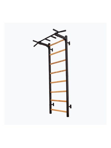 Гимнастическа стълба BenchK черна BK-221B