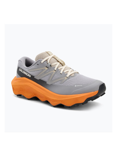 Мъжки обувки за бягане Salomon Ultra Flow 2 GTX gull/turmeric/white pepper