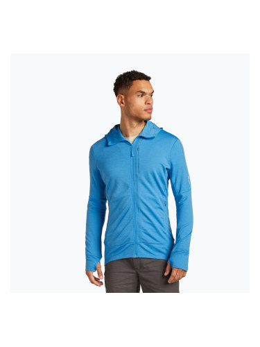 Мъжки суитшърт за трекинг Icebreaker Merino 260 Quantum IV Zip Hoodie arctic