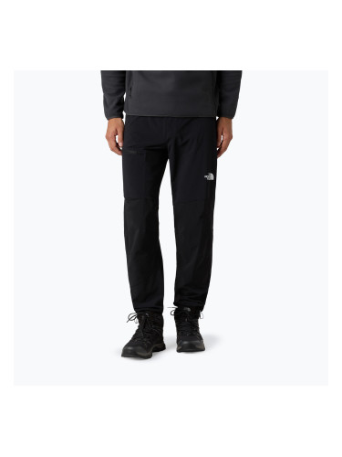 Мъжки софтшел панталони The North Face Speedlight Regular black