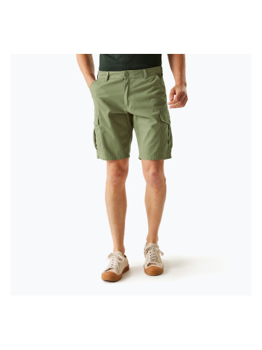 Мъжки шорти за трекинг REGATTA Ruwan fauna