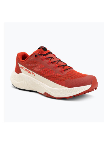 Мъжки обувки за бягане Salomon Pulsar fiery red/vanilla ice/black