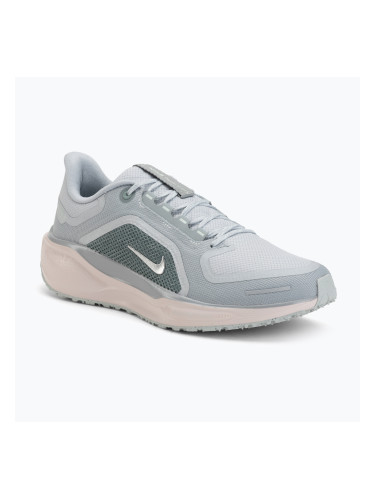 Мъжки обувки за бягане Nike Pegasus 41 GTX light pumice/pure platinum/silt red/metal silver