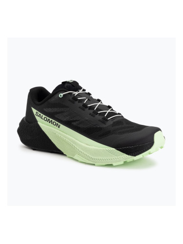 Мъжки обувки за бягане Salomon Pulsar black/black/patina green