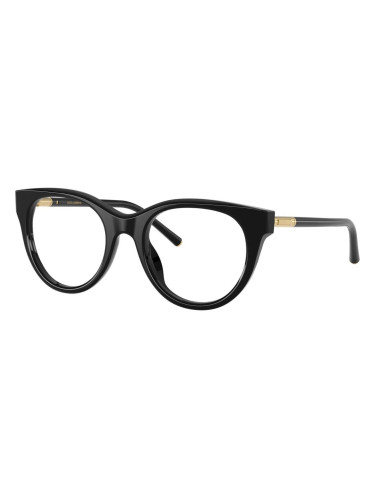 DOLCE & GABBANA DG3433 - 501