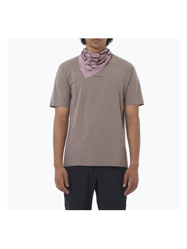 Мъжка тениска Salomon Trackline iron