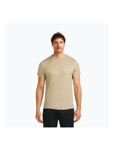 Мъжка тениска Icebreaker Merino 150 Tech Lite Peaceful Pass Tee flagstone