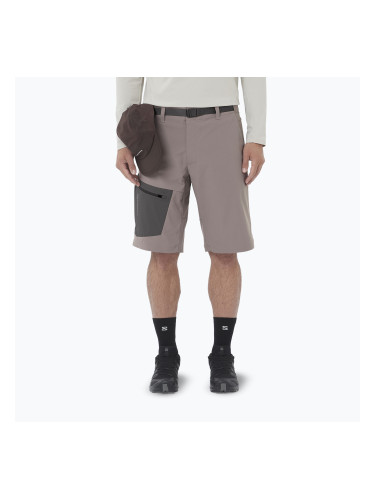 Мъжки шорти за трекинг Salomon Outerpath Utility iron