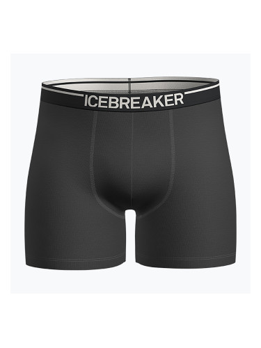 Мъжки термо боксерки icebreaker Anatomica plume jet heather