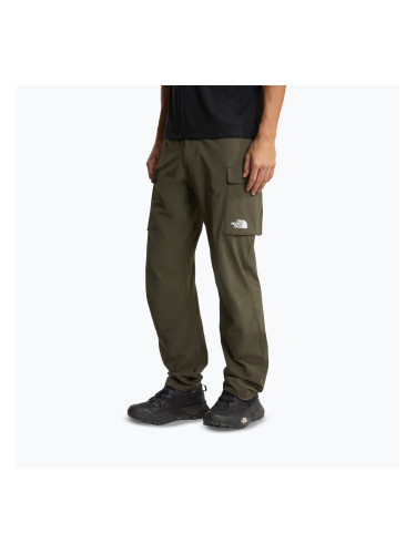 Мъжки панталони за трекинг The North Face Exploration Cargo taupe green