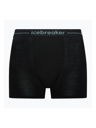Мъжки термобоксерки Icebreaker Anatomica black