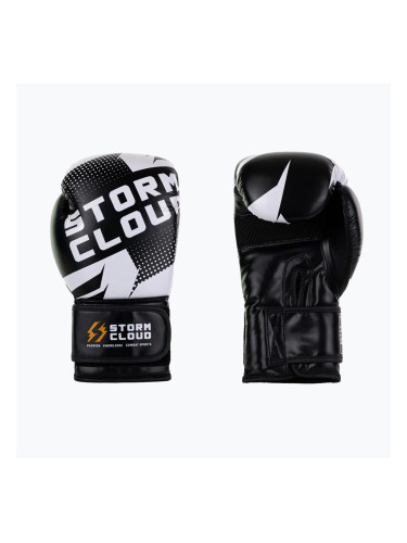 Боксьорски ръкавици StormCloud Bolt 3.0 black/white