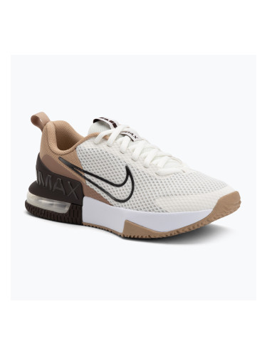 Мъжки обувки за тренировка Nike Air Max Alpha Trainer 6 sail/baroque brown/hemp/desert dust