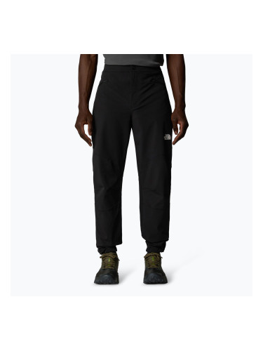 Мъжки панталони за трекинг The North Face Alpine Ridge Regular Tapered black/npf