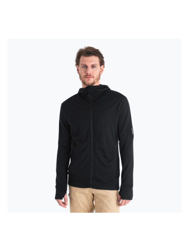 Мъжки Icebreaker Merino 260 Quantum IV Zip Hoodie black