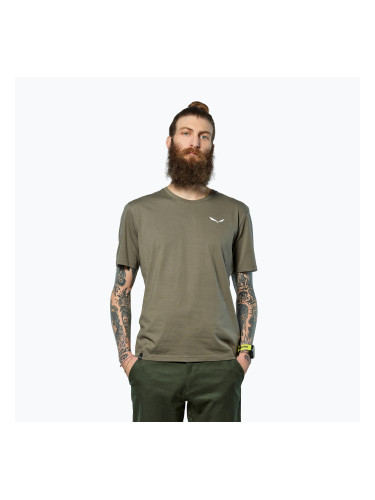 Мъжка тениска Salewa Eagle Vocab faded green