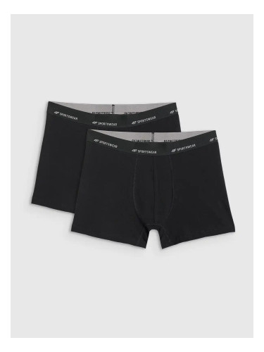 Мъжки боксерки 4F Falcon (2 броя)