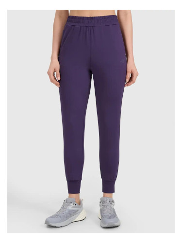 Дамски спортен панталон 4F FNK Jumper