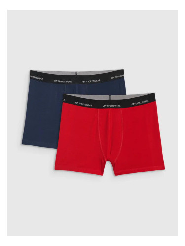 Мъжки боксерки 4F Falcon (2 бр.)