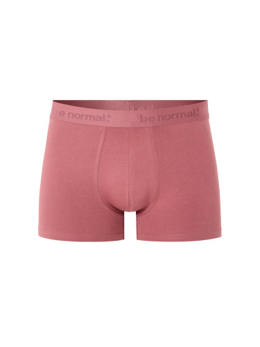 Мъжки боксерки Celio Binormal