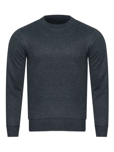 Мъжко зимно яке NEW WISE