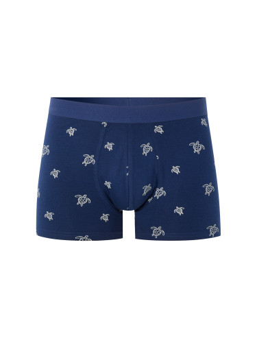 Боксери Celio Niboturtle