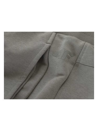 Мъжки панталони 4F